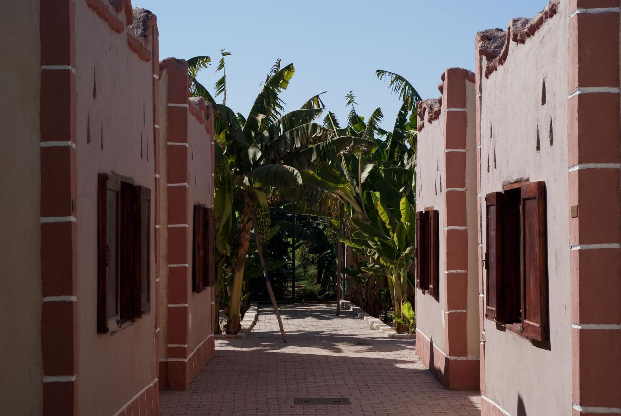 Al Baeirat Hotel Луксор Екстериор снимка