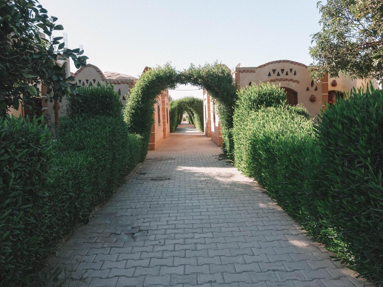 Al Baeirat Hotel Луксор Екстериор снимка